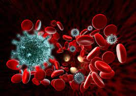Bloodborne Pathogens