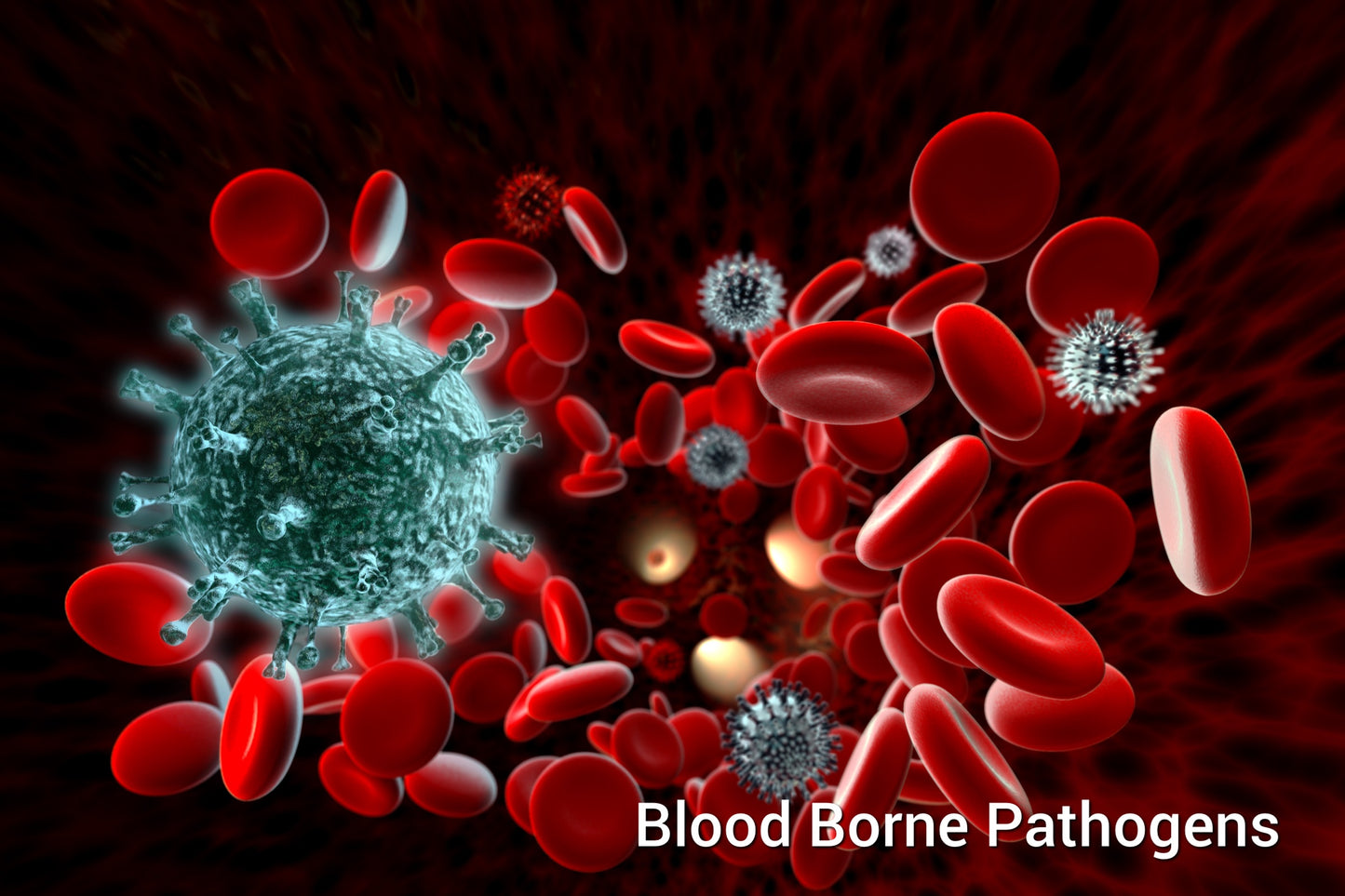 HSI - Bloodborne Pathogens