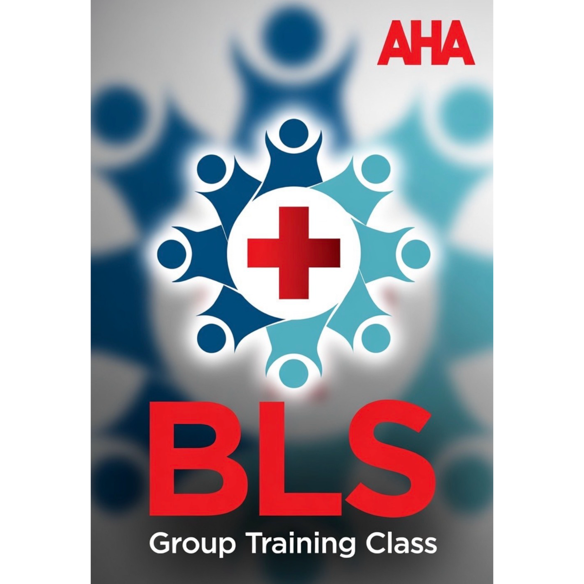 American Heart Association BLS Group Class