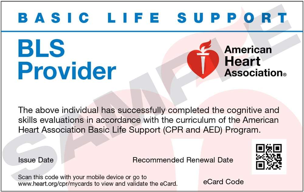 American heart store association bls